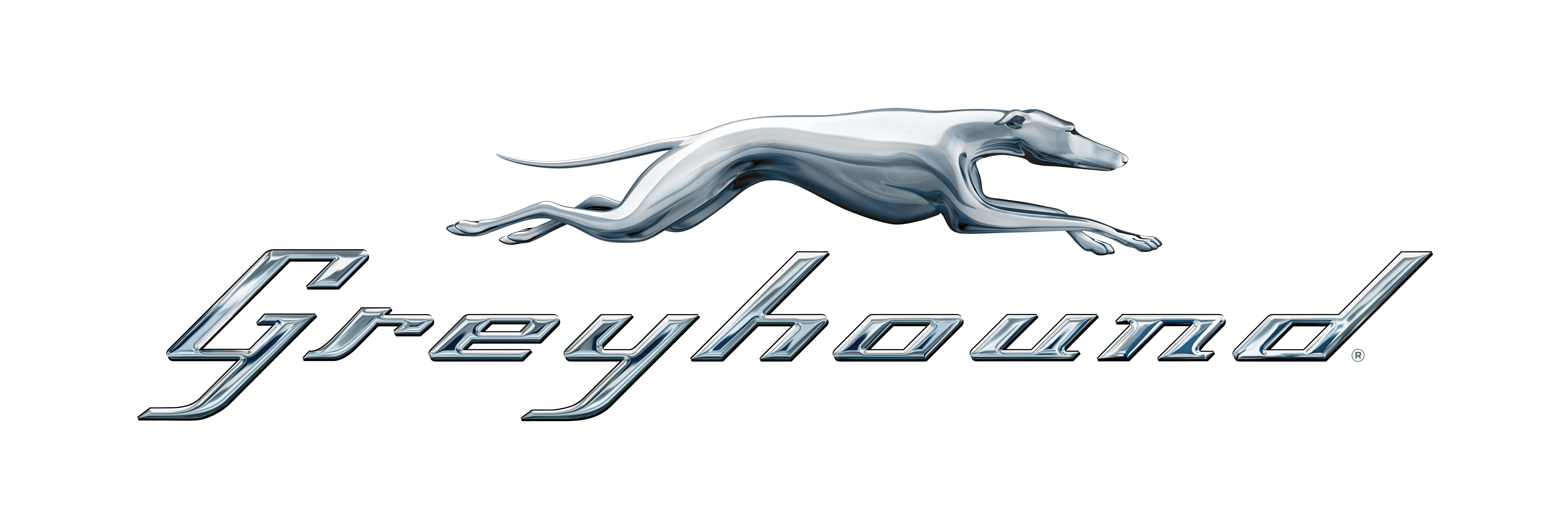 Greyhound.jpg